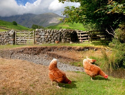 Depositphotos_35014809_l-2015